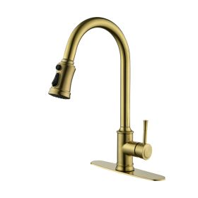 Single Handle High Arc Pull Out Kitchen Faucet; Single Level Stainless Steel Kitchen Sink Faucets with Pull Down Sprayer (Color: Gold)