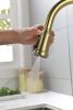 Single Handle High Arc Pull Out Kitchen Faucet; Single Level Stainless Steel Kitchen Sink Faucets with Pull Down Sprayer